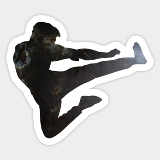 Karate Kick Sticker